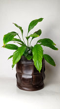 Cargar imagen en el visor de la galería, Macetero #Horten.